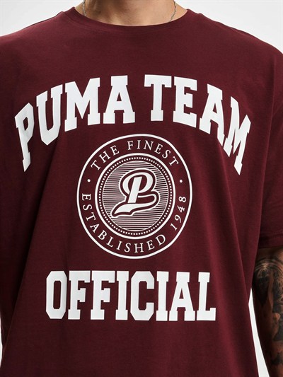 PUMA TEAM GRAPHIC ERKEK T-SHIRT 538898-42