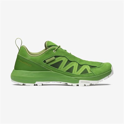 SALOMON ALPINWAY SP2 ERKEK AYAKKABI 477077