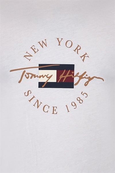 TOMMY HILFIGER ERKEK T-SHIRT 09T4326-102