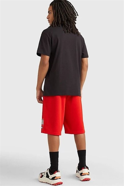 TOMMY HILFIGER ERKEK T-SHIRT DM0DM16406-BDS
