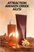 Attraction Awaken Erkek EDT 75 ml