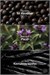 Attraction Deep Instinct Erkek EDT 75ml