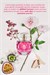 Eve One EDP - 50ml