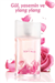 Soft Musk EDT- 50ml