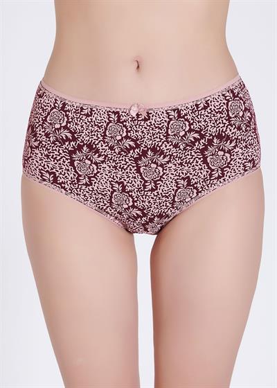 Yüksek Bel Pamuklu Karışık Desenli 4lü Set Kadın Külot