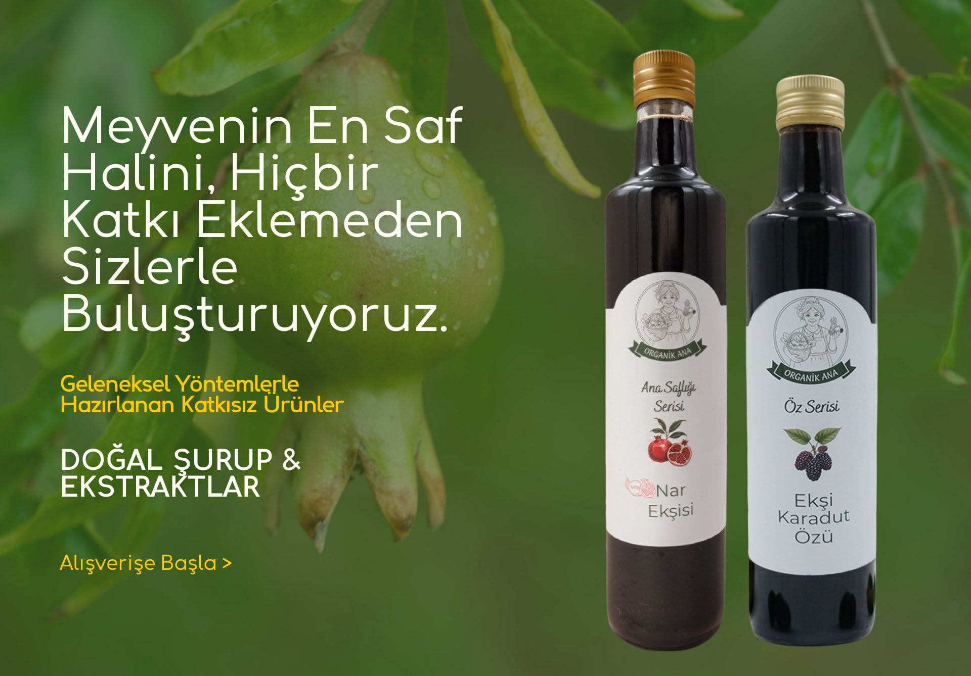 Doğal Şurup ve Ekstraklar