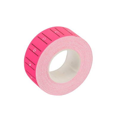 Bigpoint BP552-22 Fiyat Etiketi 10lu Pembe