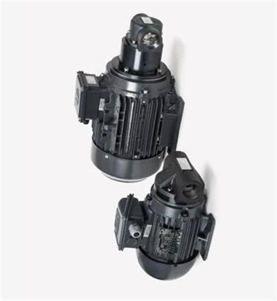 Bühler Technologies BFP 15-4-0,75 KW Yağ Sirkülasyon Pompası (3715075IE3)