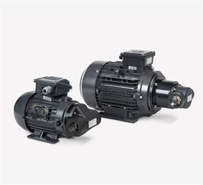 Bühler Technologies BFP 15-4-0,75 KW Yağ Sirkülasyon Pompası (3715075IE3)