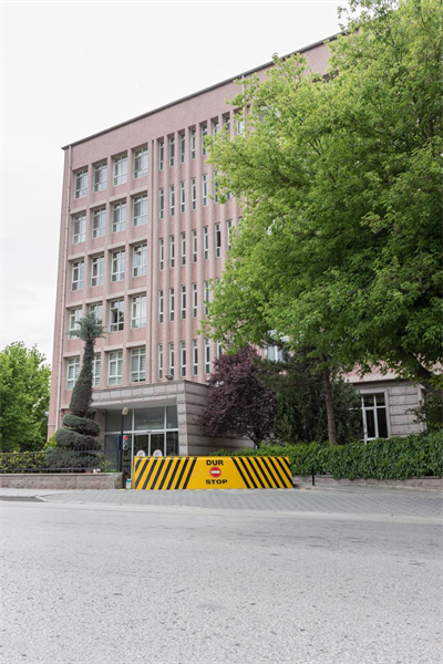 CAME ÖZAK RB Road Blocker-Giriş Kontrol Tipi