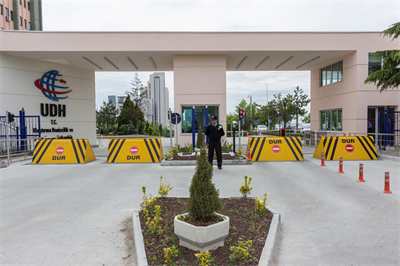 CAME ÖZAK RB Road Blocker-Giriş Kontrol Tipi