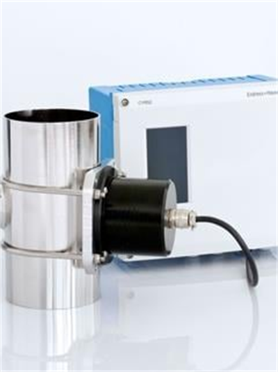 Endress+Hauser Flowfit CUA262 – Paslanmaz Çelik Turbidity Flow Assembly İçme Suyu & Proses Suyu