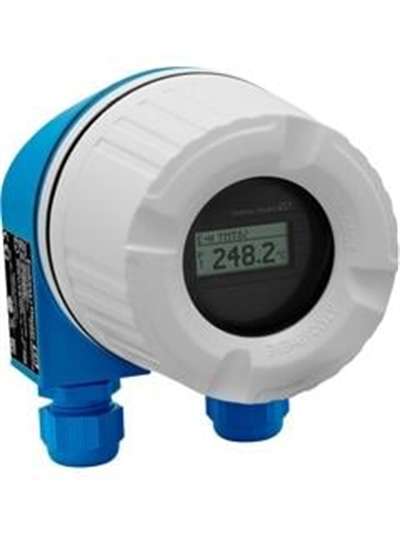 Endress+Hauser iTEMP TMT82 HART® Sıcaklık Transmitteri | Çift Girişli, SIL2 Sertifikalı