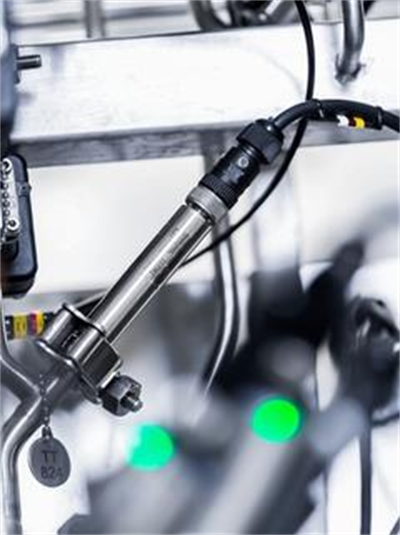 Endress+Hauser iTHERM CompactLine TM311 | Kompakt Hijyenik Sıcaklık Sensörü | 4–20 mA / IO-Link