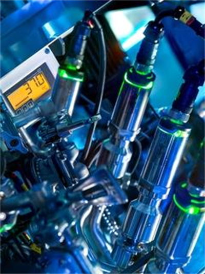 Endress+Hauser iTHERM TrustSens TM371 | Kendi Kendini Kalibre Eden Hijyenik Sıcaklık Sensörü | 4–20 mA / HART
