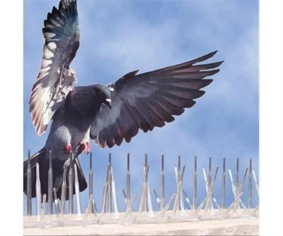 Plastik Kuş Konmaz Dikeni - Kuş Kondurmaz Tel Diken 10lu Paket