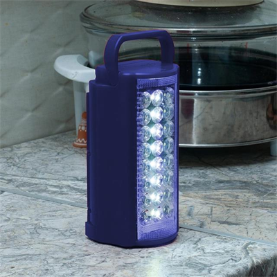 PowerMaster PM-21980 24 Ledli Şarjlı Işıldak (6V4A Akülü - Powerbank Özellikli)