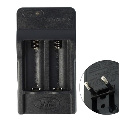 PowerMaster PMR-W018 4.2 Volt 650 mAh 16340 Pil Şarj Cihazı