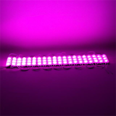 Powermaster 12 Volt 1.5 Watt Pembe Yanıp Sönen Parlak Tek Renk 2835 69 X 16 Mm IP65 160 - 180 Lümen 160 Derece Modül Led