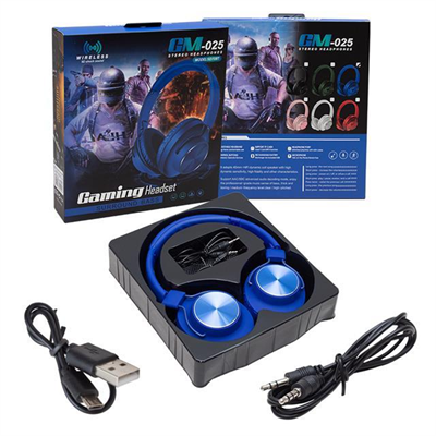 Powermaster GM-025 Gaming Oyuncu Mikrofonlu Kablosuz Kulaklık