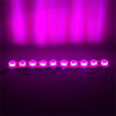 Powermaster Pembe 24 Volt 1.4 Watt 2835 Modül Led 48*30