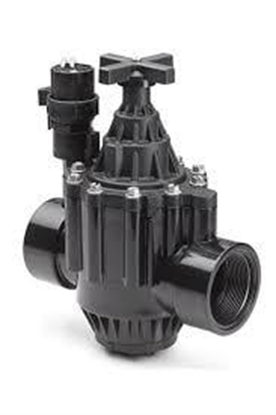 Rain Bird 200-PGA Solenoid Vana 2” BSP (63mm) – 9 Volt