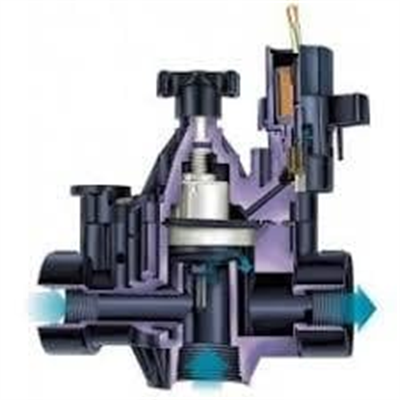Rain Bird 200-PGA Solenoid Vana 2” BSP (63mm) – 9 Volt