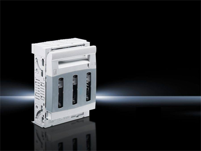 Rittal SV 9344010 NH sigorta-anahtar ayırıcı-160 A