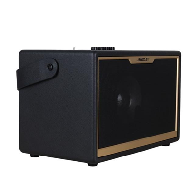 Shile SD-1 El Mikrofonlu Kumandalı USB/SD/BT Portatif Hoparlör