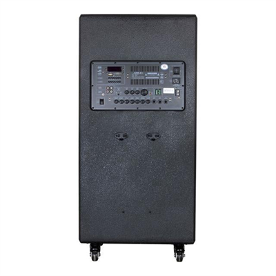 Shile SL-1612B İki El Mikrofonlu-Kumandalı USB/SD/BT/FM Taşınabilir Hoparlör