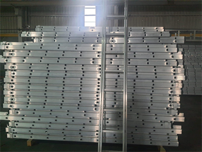 TRİO Tek Parça 3.5 Metre Alüminyum Merdiven