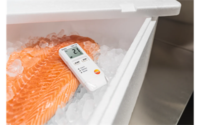 Testo 184 T2 – Nakliye İzleme Sıcaklık Data Logger, Ekranlı | 0572 1842