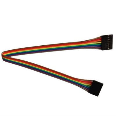 20cm 8 pin (Dişi-Dişi)