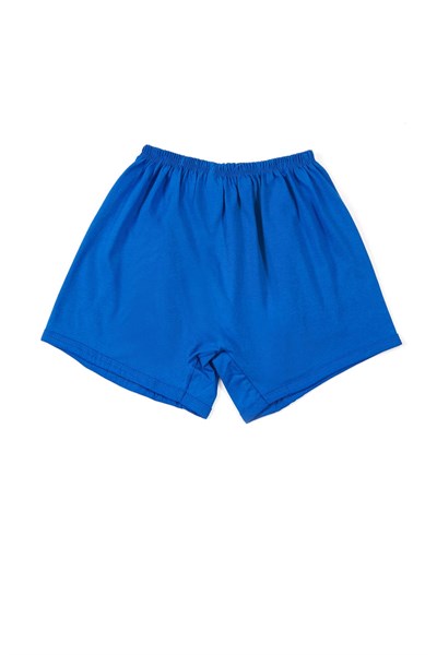 Seher Yıldızı  Erkek Paçalı Arjantin Boxer  SER0006