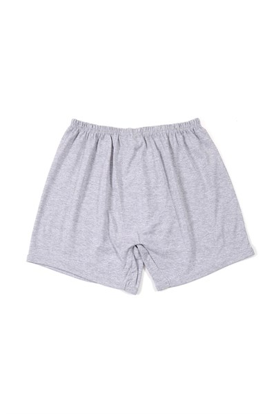Seher Yıldızı  Erkek Paçalı Arjantin Boxer  SER0006