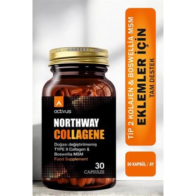Activus Northway Typeı Iı Collagen 30 Kapsül