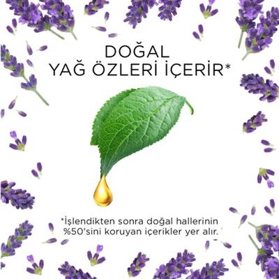 Air Wick Elektrikli Oda Kokusu Yedek Şişe Lavanta