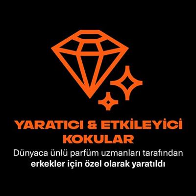 Axe Premium Collection Duş Jeli Copper Santal 3 In 1 Vücut Saç Yüz 300 ml
