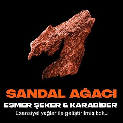 Axe Premium Collection Duş Jeli Copper Santal 3 In 1 Vücut Saç Yüz 300 ml