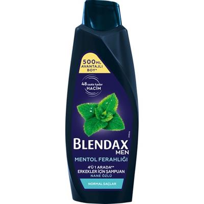 Blendax Erkekler İçin Mentol Ferahlığı Nane Özlü Şampuan 500 ml Normal Saçlar İçin