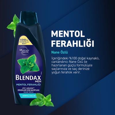 Blendax Erkekler İçin Mentol Ferahlığı Nane Özlü Şampuan 500 ml Normal Saçlar İçin