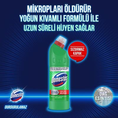 Domestos Çamaşır Suyu Dağ Esintisi 750ml x Domestos Çamaşır Suyu Kar Beyazı 750 ml + Sünger Hediye