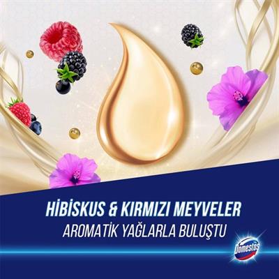 Domestos Tuvalet Bloğu Aroma Lux Hibiskus & Kırmızı Meyveler 100 g