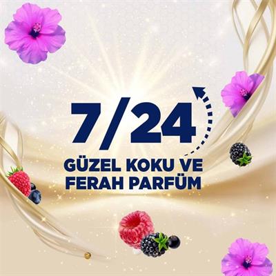 Domestos Tuvalet Bloğu Aroma Lux Hibiskus & Kırmızı Meyveler 100 g