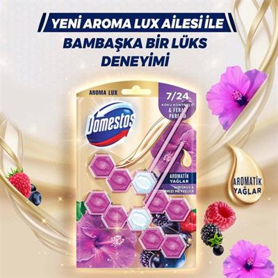 Domestos Tuvalet Bloğu Aroma Lux Hibiskus & Kırmızı Meyveler 100 g