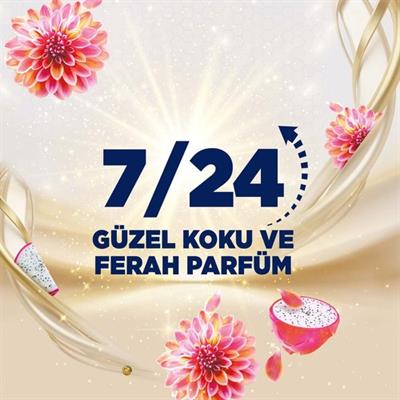 Domestos Tuvalet Bloğu Aroma Lux Yıldız Çiçeği & Ejder Meyvesi 100 g