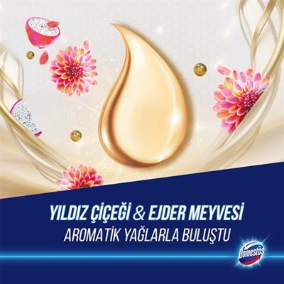 Domestos Tuvalet Bloğu Aroma Lux Yıldız Çiçeği & Ejder Meyvesi 100 g