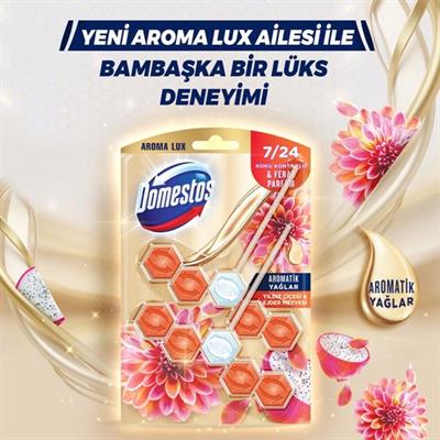 Domestos Tuvalet Bloğu Aroma Lux Yıldız Çiçeği & Ejder Meyvesi 100 g