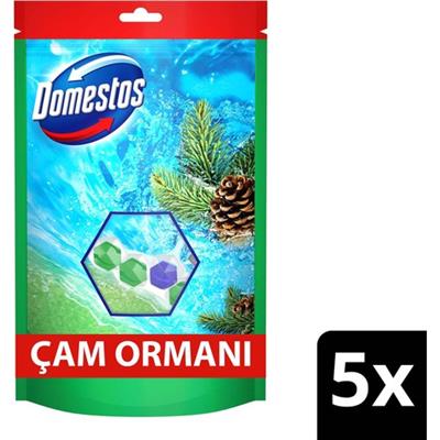 Domestos Tuvalet Bloğu Çam Ormanı 5Li Güç 250 G