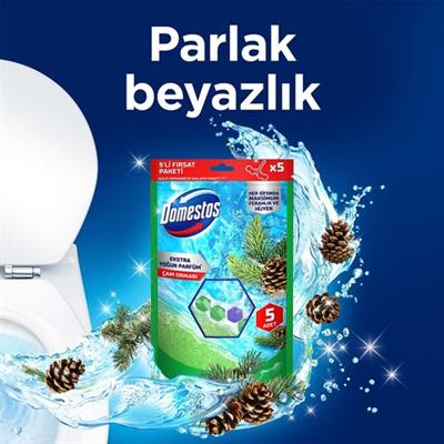 Domestos Tuvalet Bloğu Çam Ormanı 5Li Güç 250 G
